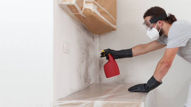 Professional Mold Remediation technician working in Wellington, FL